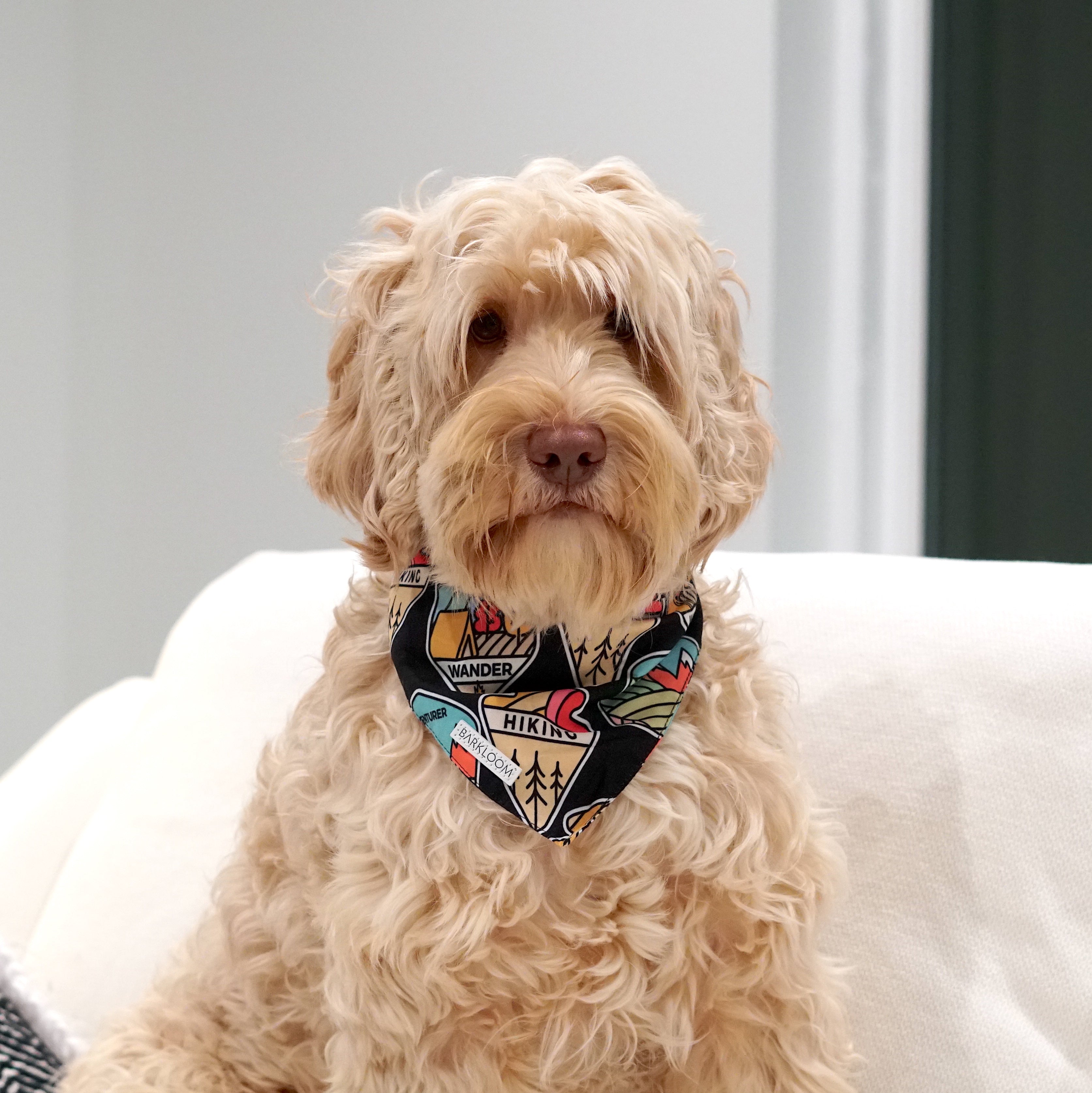 Ou dog bandana fashion